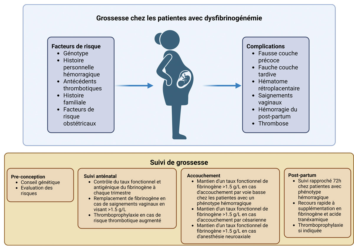 Figure-1-Rev-Francoph-Hemost-Thromb-2025-7-3-159-63-Cas-Clinique
